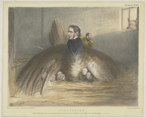 John Doyle ('H.B.') Protection, A Hen and Chickens of an Extraordinary Game Breed, Not to be Found in any work on Ornithology (from: Caricature, vol. 6)