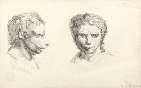 Peter Paul Lens Studies of Human Head with Canine Features