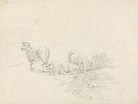 Sawrey Gilpin Three Sheep