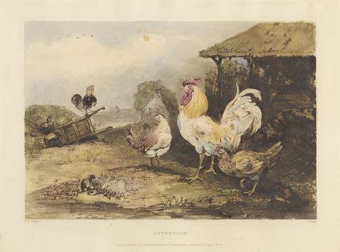Rural Chivalry; A Series in six plates of Fighting Cocks: 1. Attention