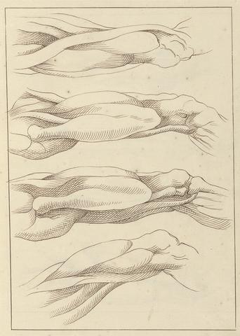 Hamlet Winstanley Anatomical Studies of Legs, October 10, 1716