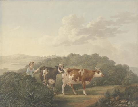 Charles Towne Woman with Cattle
