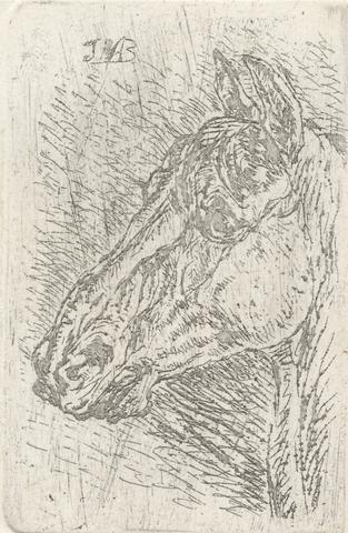 unknown artist Head of a Horse