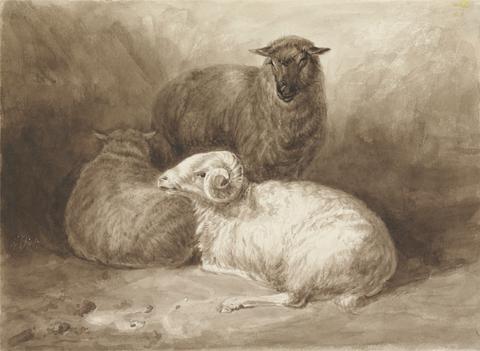 unknown artist Ram and Two Sheep