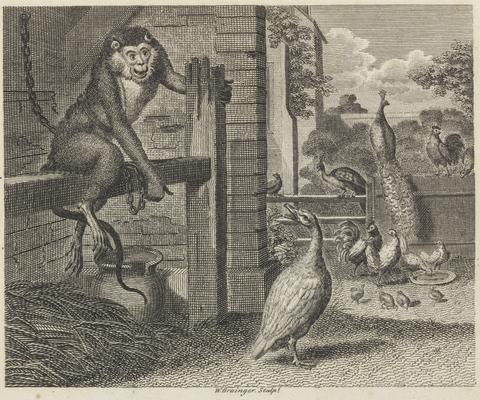 W. Grainger The Baboon and the Poultry