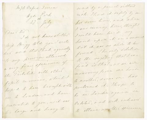 Mary Linwood letter, to an unidentified recipient, July 27, about trilobite and fossil specimens she has obtained : manuscript.