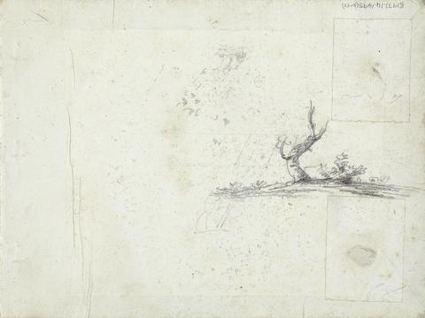 William Brockedon inside front cover: Sketch of a Tree (inverted)