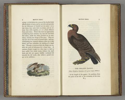 History of British birds. The figures engraved on wood by T. Bewick ...