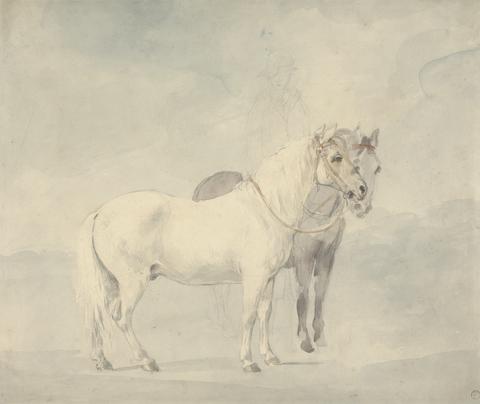 William Hamilton William Beckford's Ponies