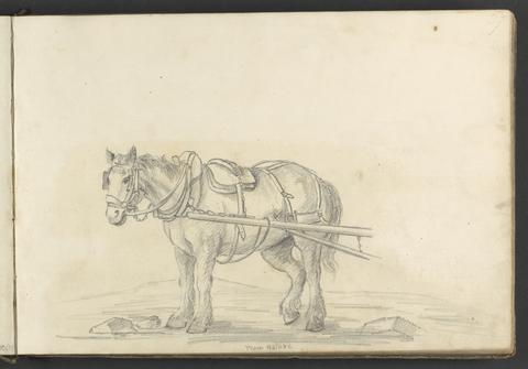 William Brockedon From Nature ( A work horse)
