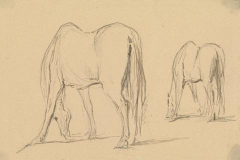 Two Horses Feeding: Each Seen Three-Quarters From the Rear, Facing Left