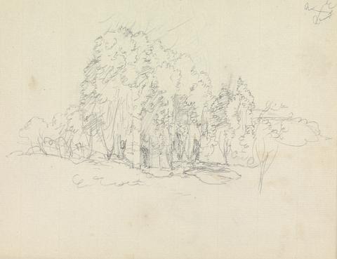 James Moore Study of Tress and Vegetaion Growing Over Ruins