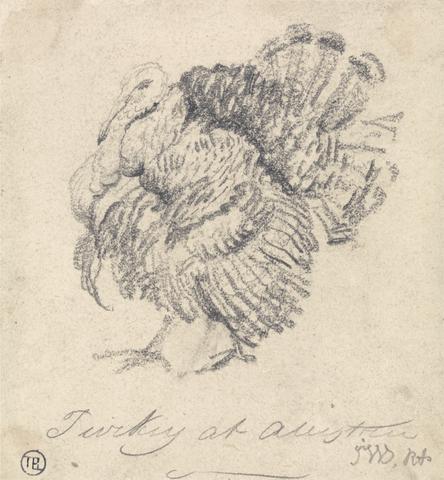 James Ward Study of a Turkey