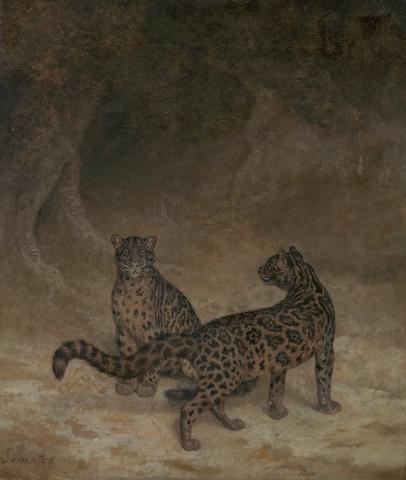 Jacques-Laurent Agasse Clouded Leopards