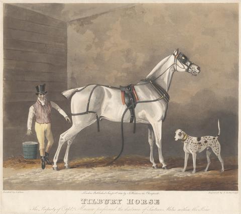 Thomas Sutherland Set of six: 5. Tilbury Horse