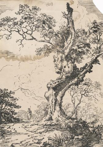 George Samuel Man and large tree in landscape