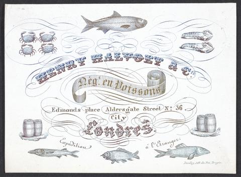 Henry Halvoet & Cie. : negt. en poissons : Edmonds Place, Aldersgate Street, No. 36, city, Londres / Daveluy, Lith. du Roi, Bruges.