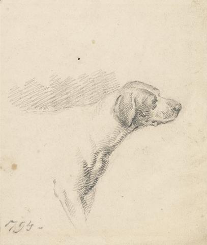 George Morland Study of a Hound: Head and Shoulders, Facing Right