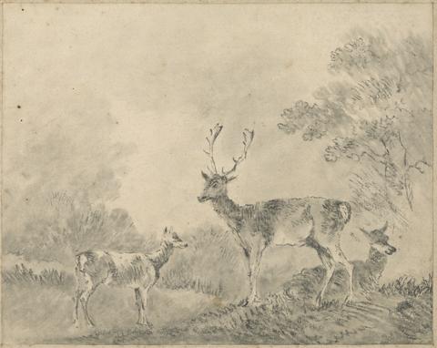 Sawrey Gilpin Fallow Deer: Stag, Doe and Fawn in a clearing