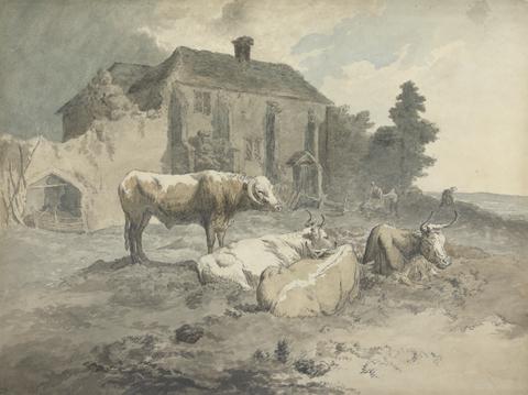 Robert Hills Long-Horned Cattle