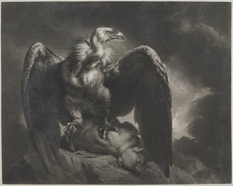 Samuel William Reynolds Vulture and Lamb