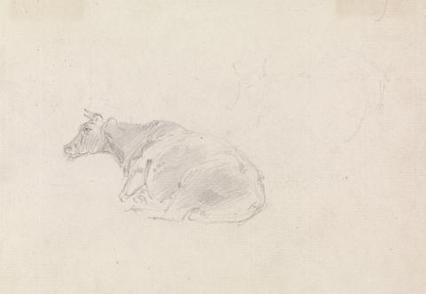 Sawrey Gilpin Study of a cow lying down