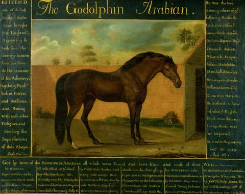 Daniel Quigley The Godolphin Arabian