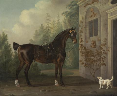 Lord Abergavenny's Dark Bay Carriage Horse with a Terrier