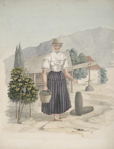 Alfred Diston Woman of El Miradero, Tenerife