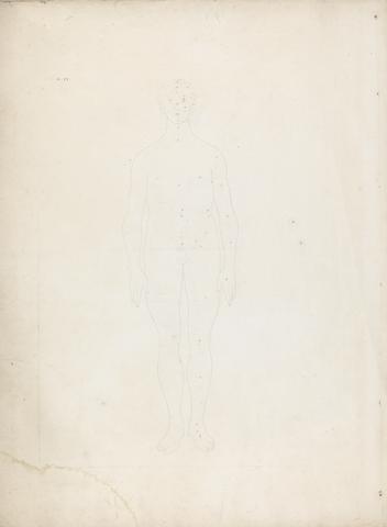 George Stubbs Plate VI, Human Body, Frontal View