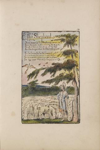 William Blake Songs of Innocence and of Experience, Plate 14, "The Shepherd" (Bentley 5)