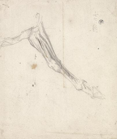 Horse's Foreleg: Possibly a Study for "L'Amour de Cheval", Dated 1827, in the Tate Gallery