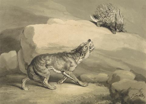 Samuel Howitt Fox and the Hedgehog (Porcupine)