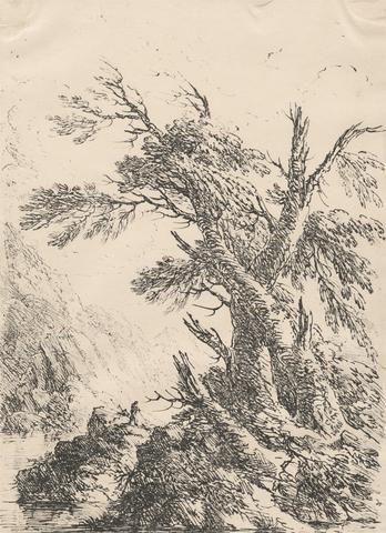 Landscape with Old Trees by Water