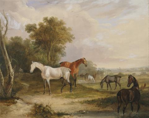 Francis Calcraft Turner Horses Grazing: a Grey Stallion Grazing with Mares in a Meadow