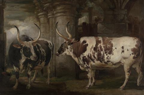 James Ward Portraits of Two Extraordinary Oxen, the Property of the Earl of Powis