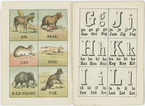  ABC of animals.