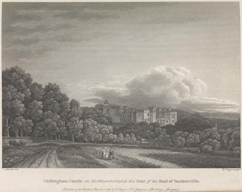 William Angus Chillingham Castle in Northumberland, The Seat of the Earl of Tankerville (published by W. Angus): Plate 62; page 62 (Volume One)