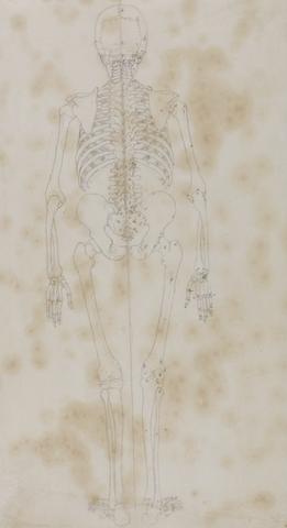 George Stubbs Human Skeleton, Posterior View (Perhaps the first of the studies of the skeleton)