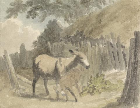 Robert Hills A Donkey and Foal