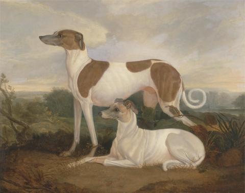Charles Hancock Two Greyhounds in a Landscape