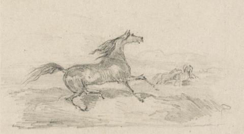 Study of a Startled Horse