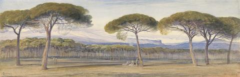 Edward Lear A View of the Pine Woods Above Cannes