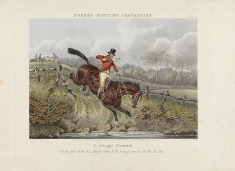 John Harris Fox Hunting: Fores's Hunting Casualties - A Strange country