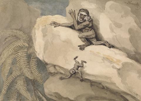 Samuel Howitt A Monkey and Young