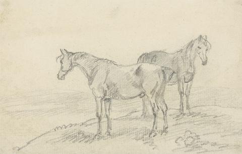 Sawrey Gilpin Two Horses
