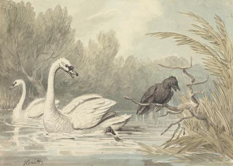 Samuel Howitt A Raven and Two Swans