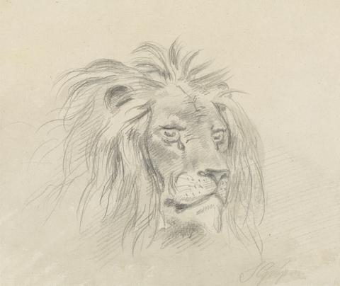 Sawrey Gilpin Head of a Lion