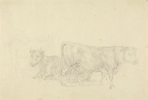 Sawrey Gilpin Study of cattle, bull in foreground facing right