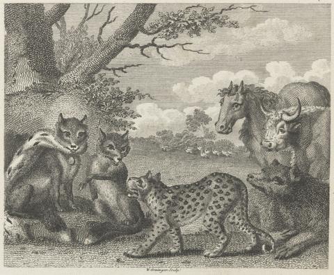 Fable VII. The Lion, the Fox, and the Geese